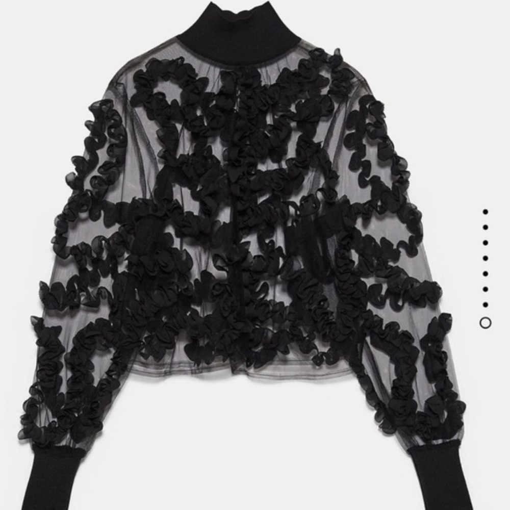 VGUC ZARA Blogger’s Fav| Constrasting Semi-Sheer Top - Picture 2 of 15